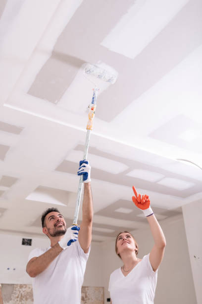 Best Basement Mold Removal  in Mccrory, AR