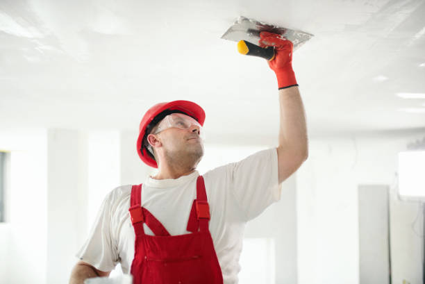 Best Dehumidification Services  in Mccrory, AR
